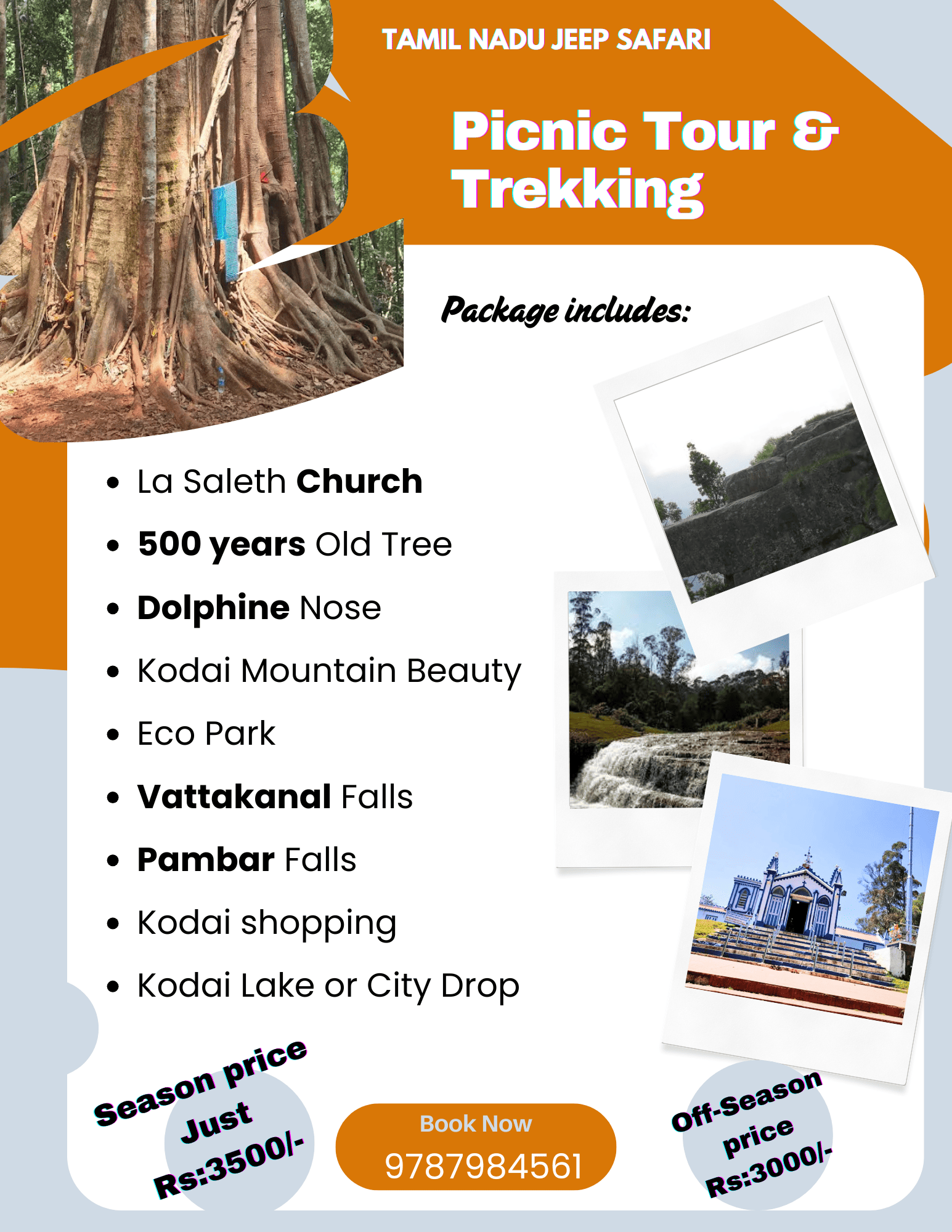 Picnic Tour & Trekking